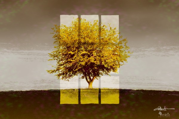 Window on an Amber Tree 3x2 by Veratis Editions